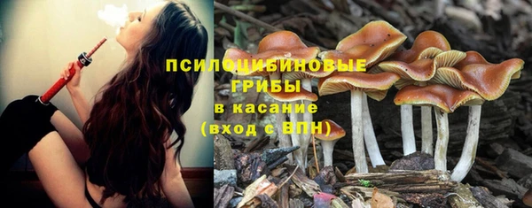 прущий лед Алексин